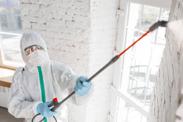 Best Asbestos and Lead Testing During Mold Inspection  in Breckenridge, CO