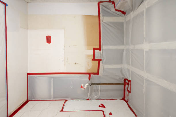 Best Air Quality Testing for Mold Spores  in Breckenridge, CO